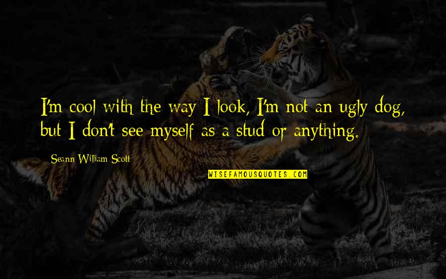M'aimiez Quotes By Seann William Scott: I'm cool with the way I look, I'm M'aimiez Quotes By Seann William Scott: I'm cool with the way I look, I'm