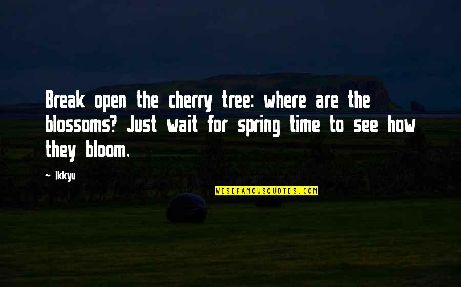 Mainieros Appliances Quotes By Ikkyu: Break open the cherry tree: where are the Mainieros Appliances Quotes By Ikkyu: Break open the cherry tree: where are the