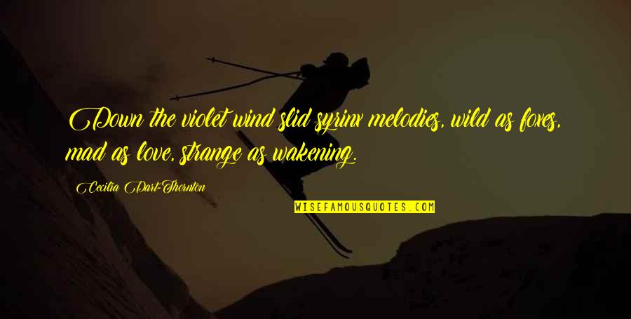 Mainstream Short Quotes By Cecilia Dart-Thornton: Down the violet wind slid syrinx melodies, wild Mainstream Short Quotes By Cecilia Dart-Thornton: Down the violet wind slid syrinx melodies, wild
