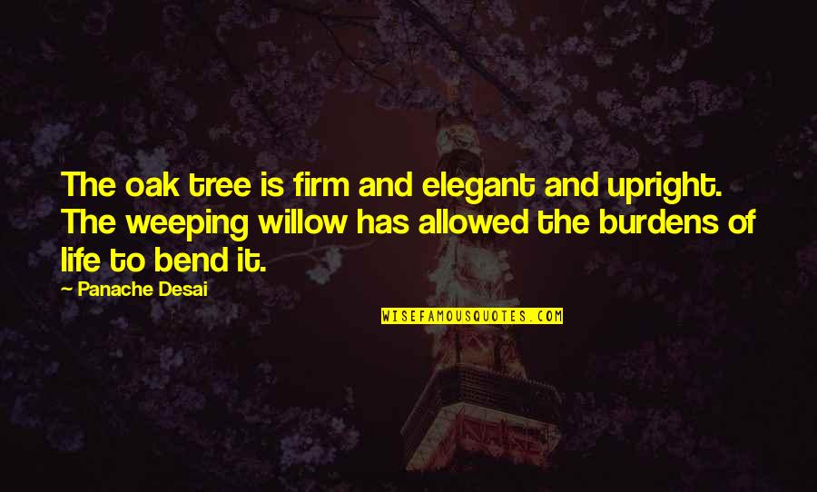 Maintain Peace Quotes By Panache Desai: The oak tree is firm and elegant and Maintain Peace Quotes By Panache Desai: The oak tree is firm and elegant and