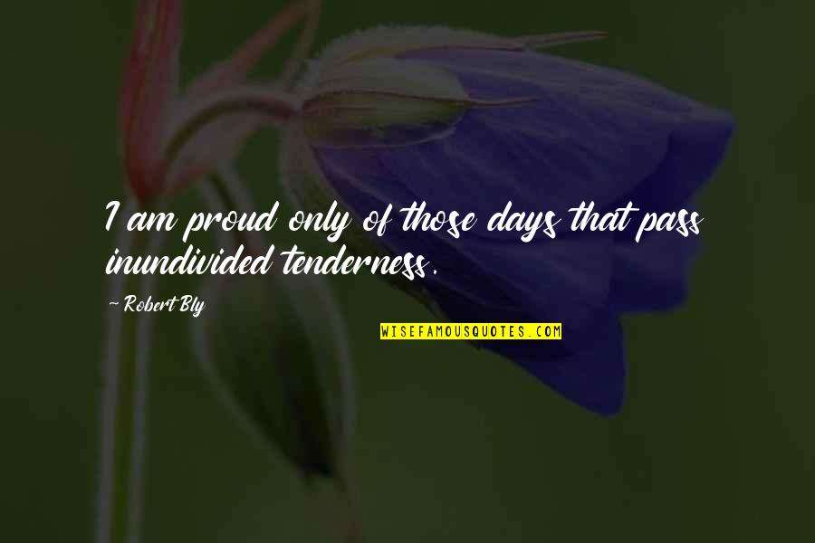 Maintains Water Quotes By Robert Bly: I am proud only of those days that