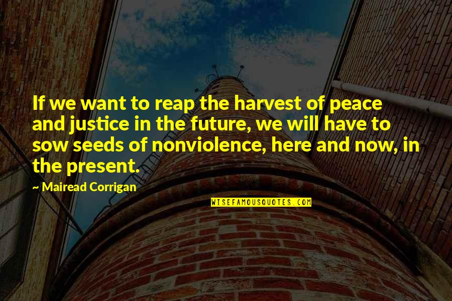 Mairead Corrigan Quotes By Mairead Corrigan: If we want to reap the harvest of