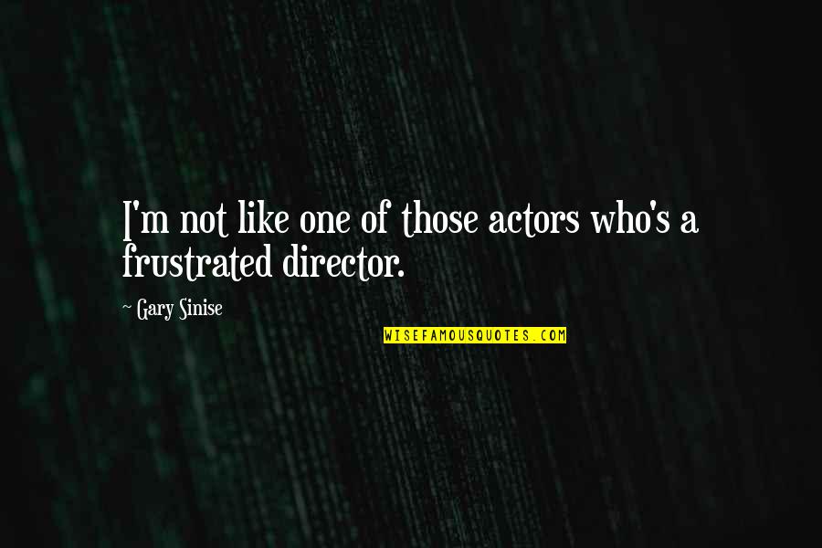 Maisam Architects Quotes By Gary Sinise: I'm not like one of those actors who's