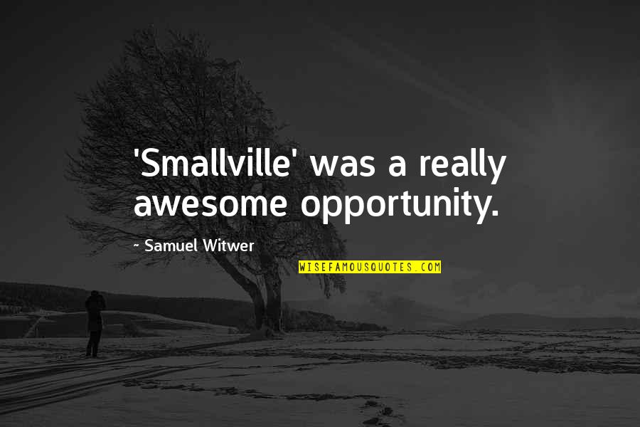 Maison Quotes By Samuel Witwer: 'Smallville' was a really awesome opportunity.