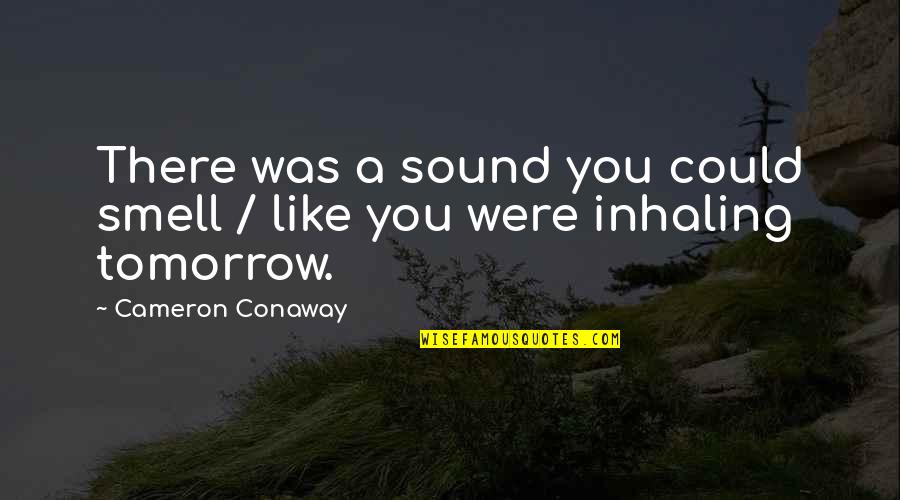 Maity Raju Quotes By Cameron Conaway: There was a sound you could smell /