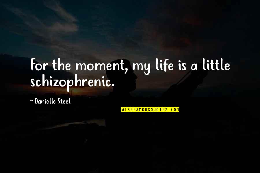 Maiyet Bag Quotes By Danielle Steel: For the moment, my life is a little
