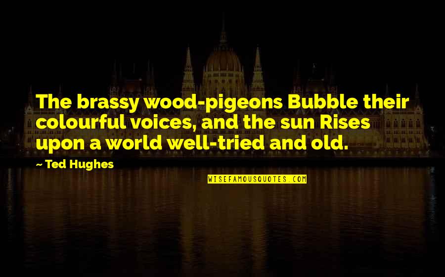 Majed El Shafie Quotes By Ted Hughes: The brassy wood-pigeons Bubble their colourful voices, and