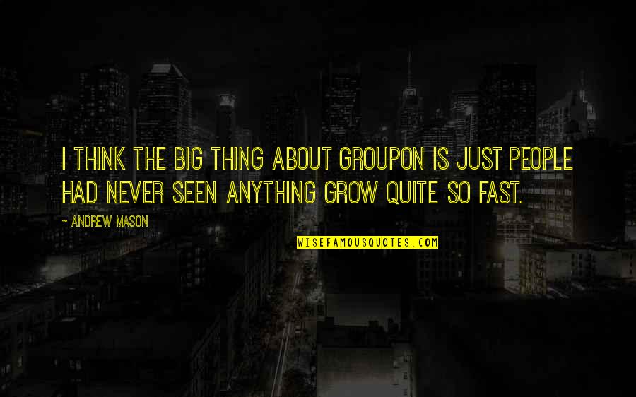 Majku Syt Quotes By Andrew Mason: I think the big thing about Groupon is