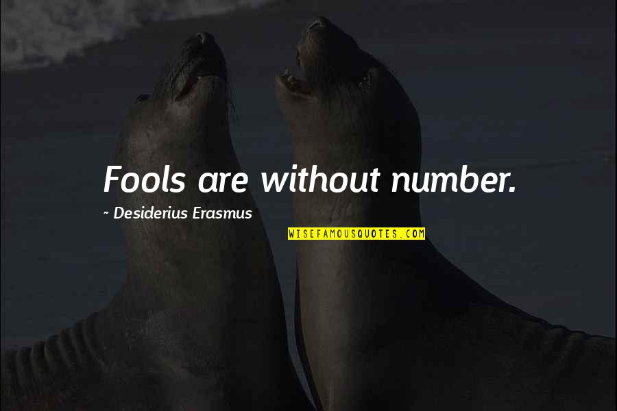 Majl Th Jeno Wikip Dia Quotes By Desiderius Erasmus: Fools are without number.