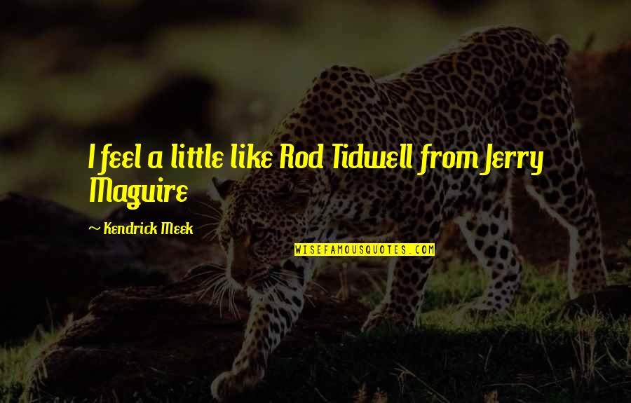 Makaala Yates Quotes By Kendrick Meek: I feel a little like Rod Tidwell from Makaala Yates Quotes By Kendrick Meek: I feel a little like Rod Tidwell from