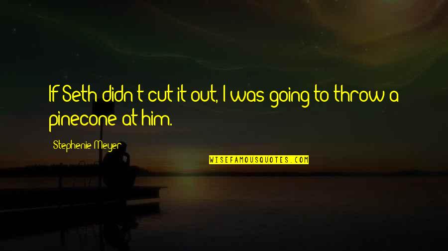 Makarand Dehejia Quotes By Stephenie Meyer: If Seth didn't cut it out, I was