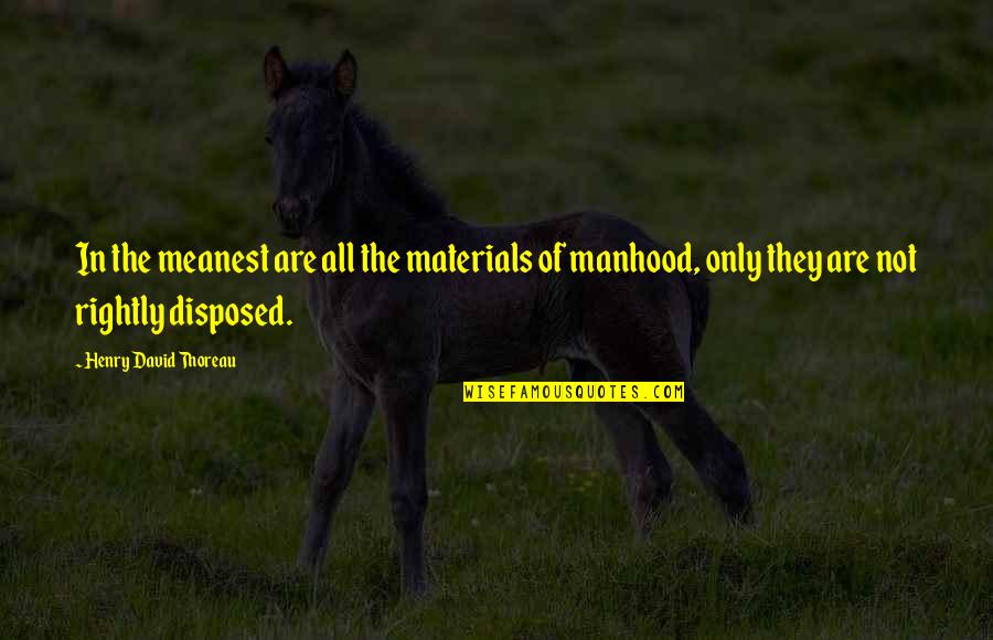 Makarenko Tatana Quotes By Henry David Thoreau: In the meanest are all the materials of