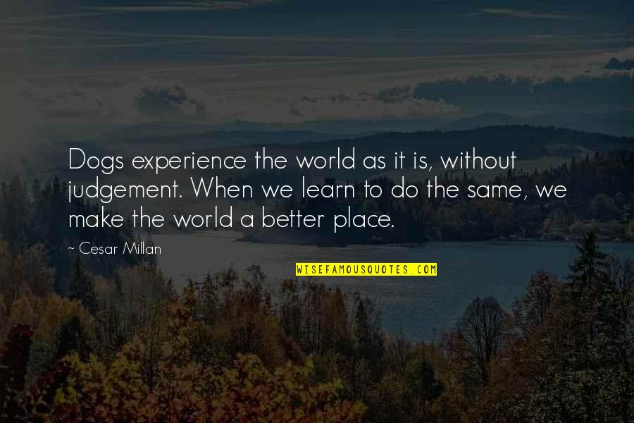 Make A Better World Quotes By Cesar Millan: Dogs experience the world as it is, without