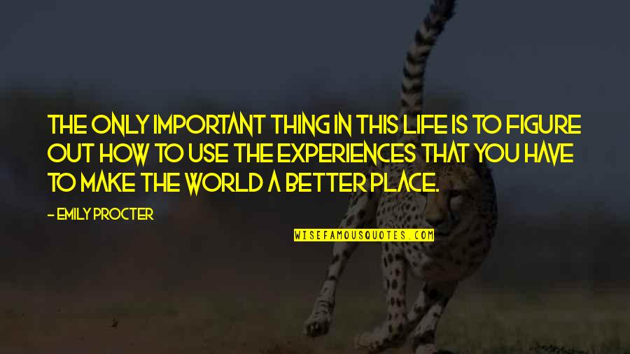 Make A Better World Quotes By Emily Procter: The only important thing in this life is