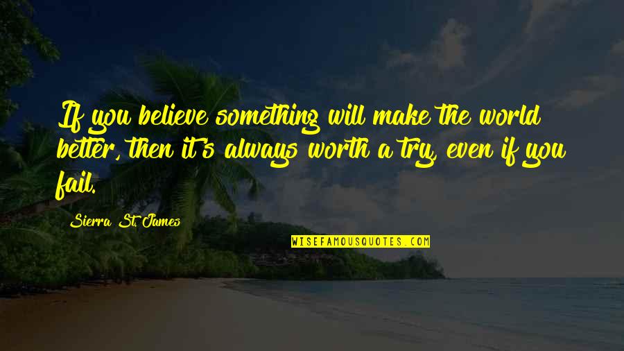 Make A Better World Quotes By Sierra St. James: If you believe something will make the world