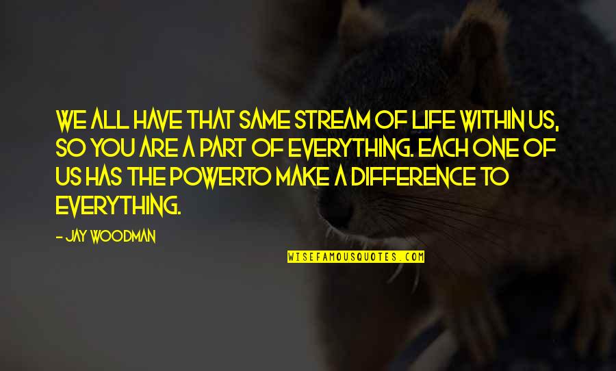 Make All The Difference Quotes By Jay Woodman: We all have that same stream of life