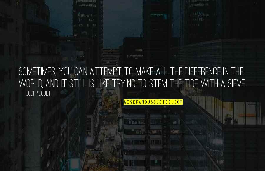 Make All The Difference Quotes By Jodi Picoult: Sometimes, you can attempt to make all the