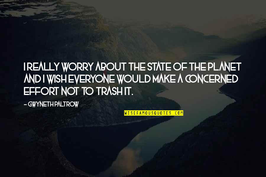 Make And Effort Quotes By Gwyneth Paltrow: I really worry about the state of the