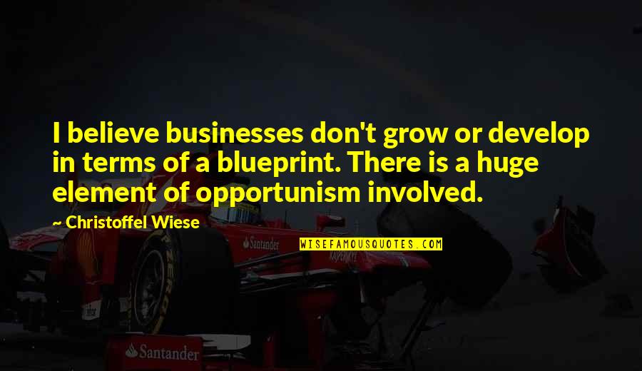 Make Me Some Love To Eat Quotes By Christoffel Wiese: I believe businesses don't grow or develop in