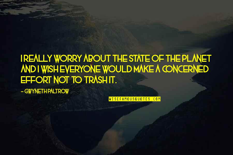 Make No Effort Quotes By Gwyneth Paltrow: I really worry about the state of the