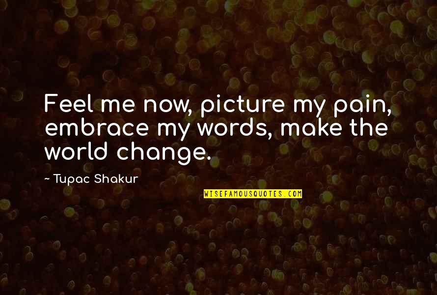 Make Peace Quotes By Tupac Shakur: Feel me now, picture my pain, embrace my