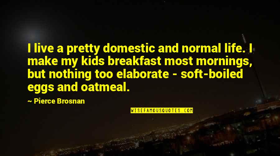 Make Pretty Quotes By Pierce Brosnan: I live a pretty domestic and normal life.