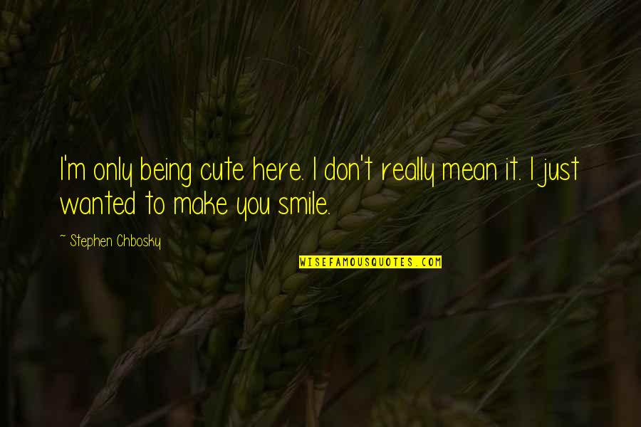 Make Sure To Smile Quotes By Stephen Chbosky: I'm only being cute here. I don't really