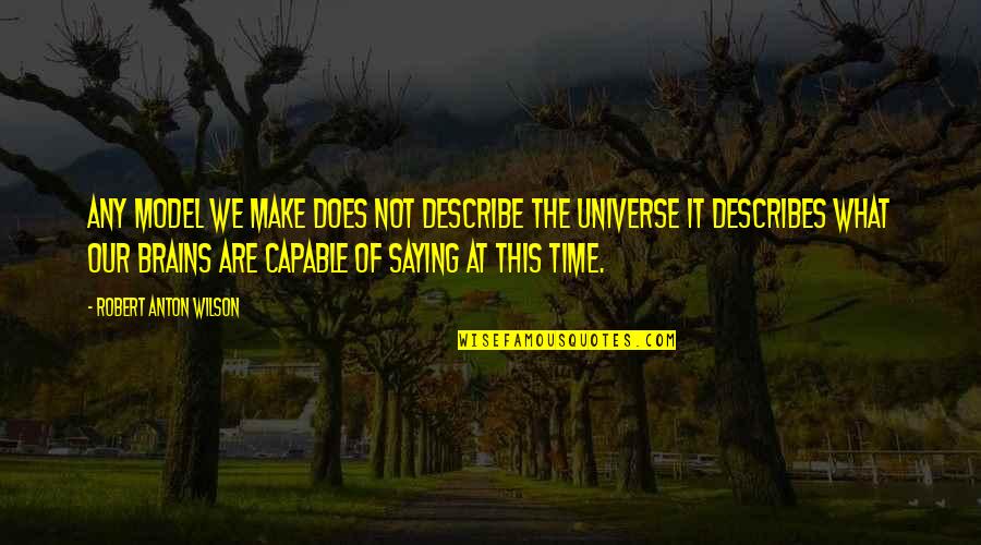 Make The Best Of Time Quotes By Robert Anton Wilson: Any model we make does not describe the