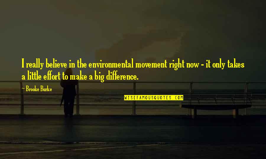 Make The Effort Quotes By Brooke Burke: I really believe in the environmental movement right