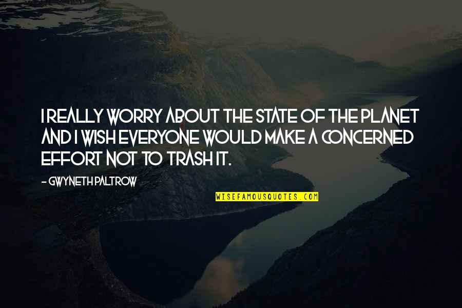 Make The Effort Quotes By Gwyneth Paltrow: I really worry about the state of the