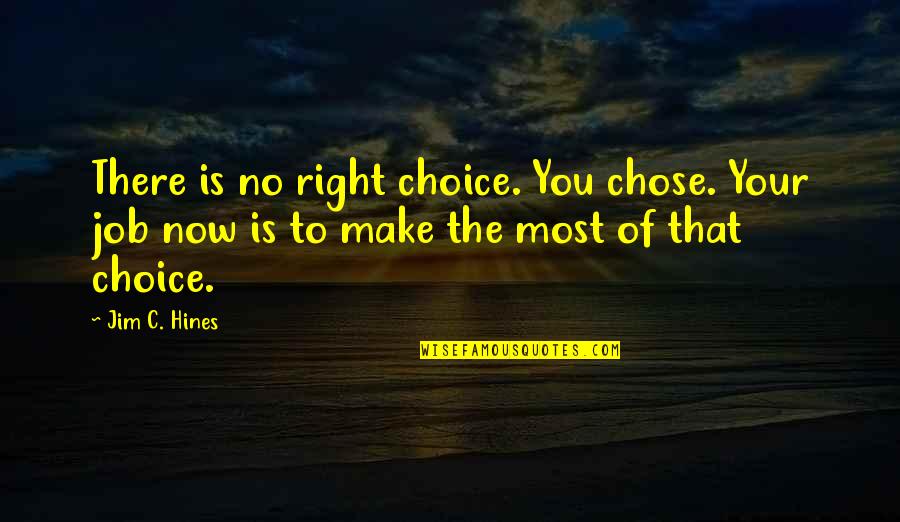 Make The Most Of Now Quotes By Jim C. Hines: There is no right choice. You chose. Your