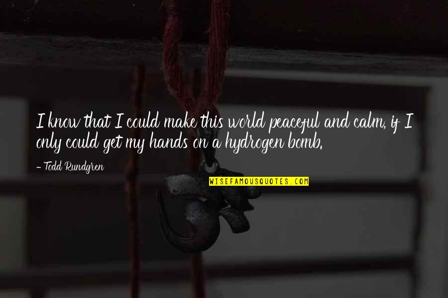 Make This World More Peaceful Quotes By Todd Rundgren: I know that I could make this world Make This World More Peaceful Quotes By Todd Rundgren: I know that I could make this world