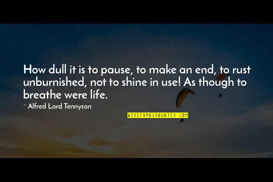 Make Your Life Shine Quotes By Alfred Lord Tennyson: How dull it is to pause, to make