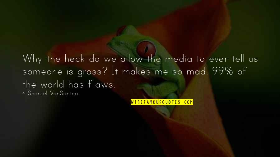 Makes Me Mad Quotes By Shantel VanSanten: Why the heck do we allow the media