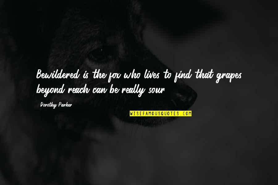 Makes Perfect Sense Quotes By Dorothy Parker: Bewildered is the fox who lives to find Makes Perfect Sense Quotes By Dorothy Parker: Bewildered is the fox who lives to find