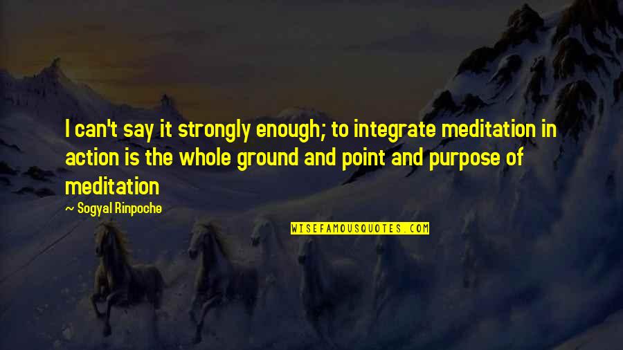 Makhaola High School Quotes By Sogyal Rinpoche: I can't say it strongly enough; to integrate