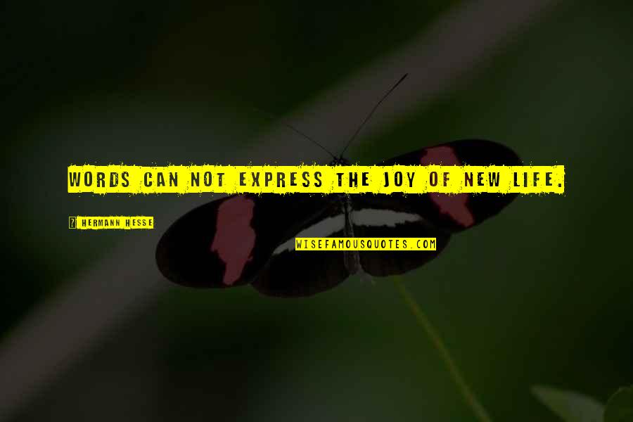 Makinajian Quotes By Hermann Hesse: Words can not express the joy of new