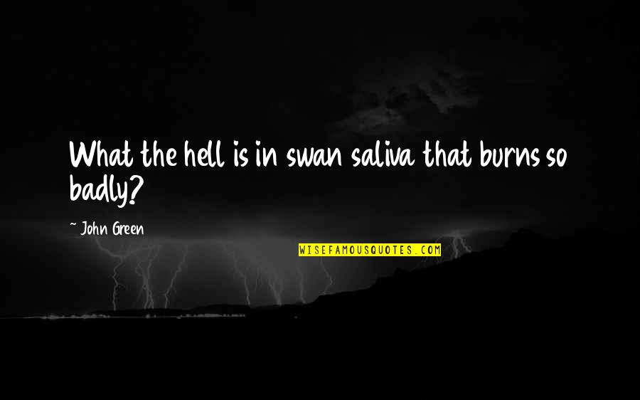 Making A Woman Smile Quotes By John Green: What the hell is in swan saliva that
