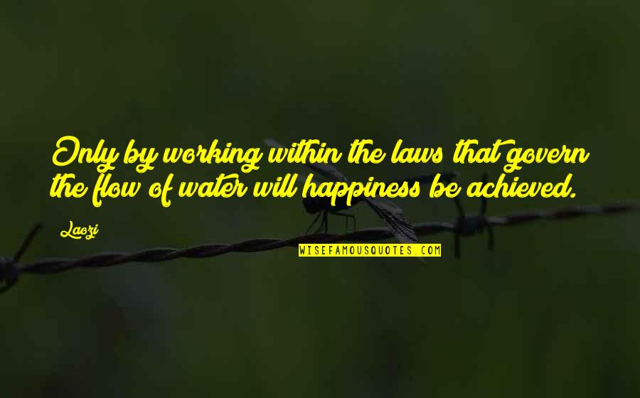 Making Changes In My Life Quotes By Laozi: Only by working within the laws that govern