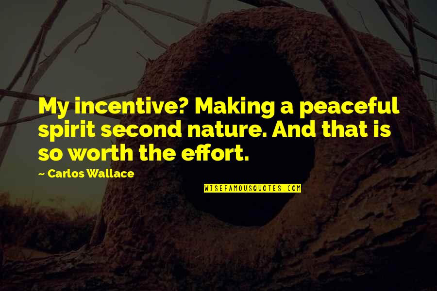 Making Effort Quotes By Carlos Wallace: My incentive? Making a peaceful spirit second nature.