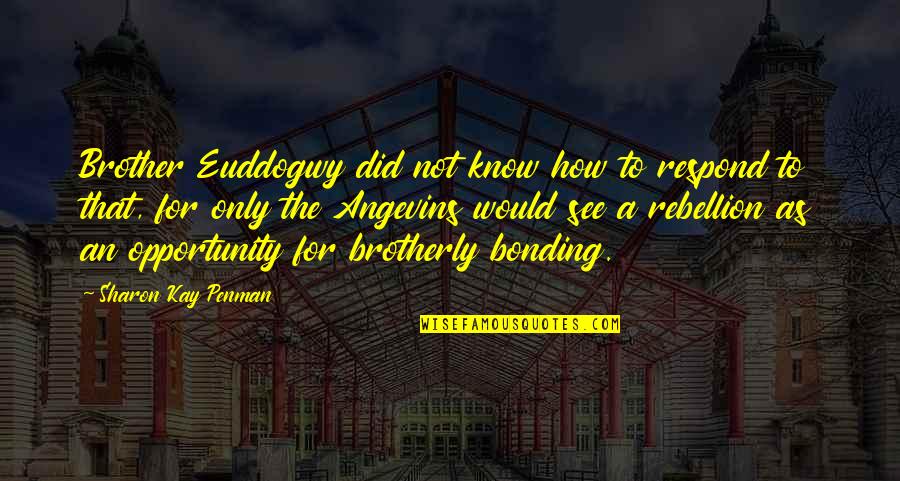 Making Good Choices Life Quotes By Sharon Kay Penman: Brother Euddogwy did not know how to respond