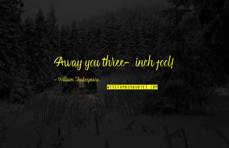 Making Good Choices Quotes By William Shakespeare: Away you three-inch fool! Making Good Choices Quotes By William Shakespeare: Away you three-inch fool!