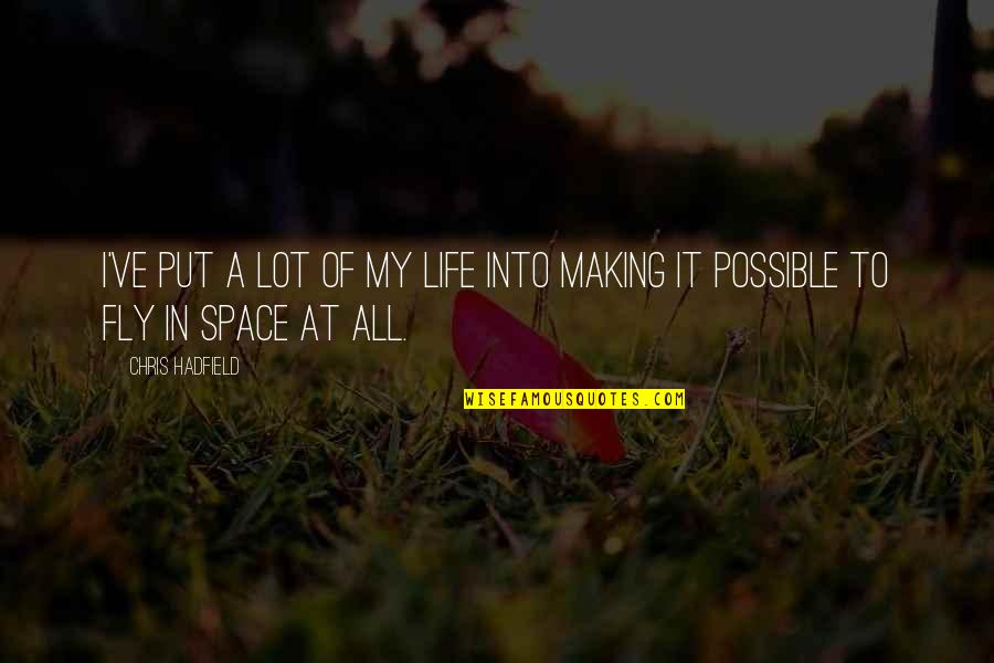 Making It In Life Quotes By Chris Hadfield: I've put a lot of my life into