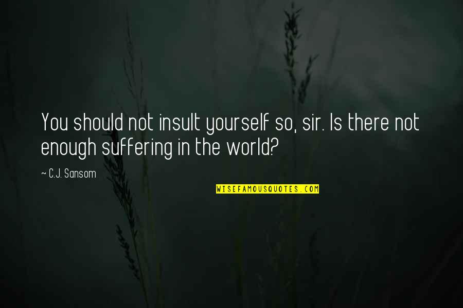 Making It Through Hard Times Quotes By C.J. Sansom: You should not insult yourself so, sir. Is