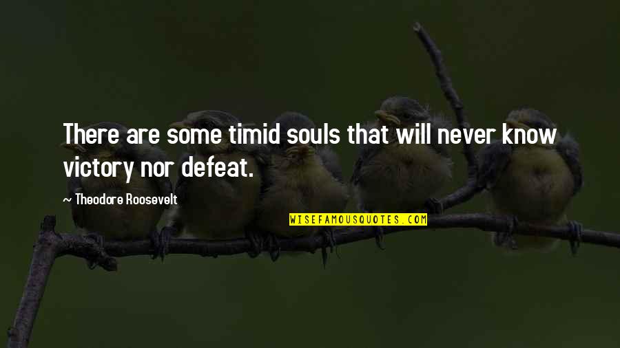 Making It Through Hard Times Together Quotes By Theodore Roosevelt: There are some timid souls that will never