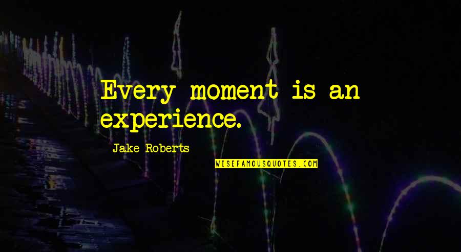 Making It Through The Rain Quotes By Jake Roberts: Every moment is an experience.