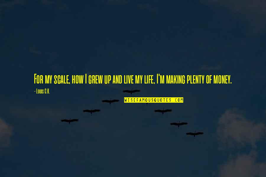Making Money In Life Quotes By Louis C.K.: For my scale, how I grew up and