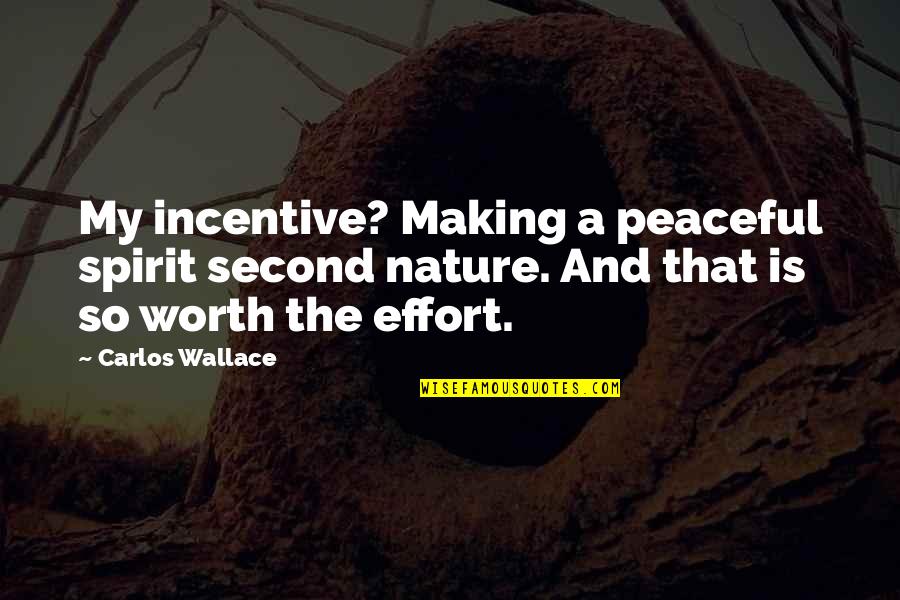 Making Peace Quotes By Carlos Wallace: My incentive? Making a peaceful spirit second nature.