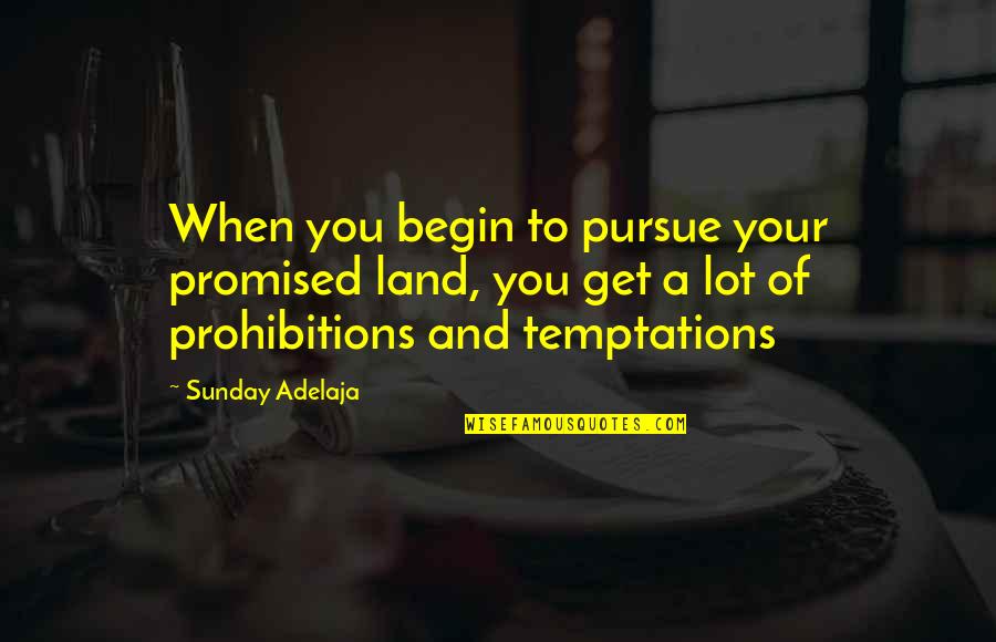 Making Sacrifices In Relationships Quotes By Sunday Adelaja: When you begin to pursue your promised land,