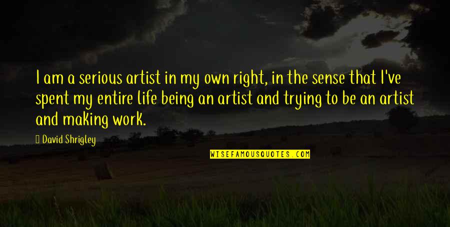 Making Sense Out Of Life Quotes By David Shrigley: I am a serious artist in my own Making Sense Out Of Life Quotes By David Shrigley: I am a serious artist in my own
